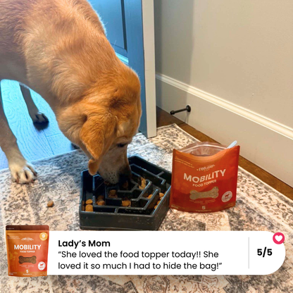 Dog eating from a bowl with a bag of mobility food topper on a carpeted floor.
