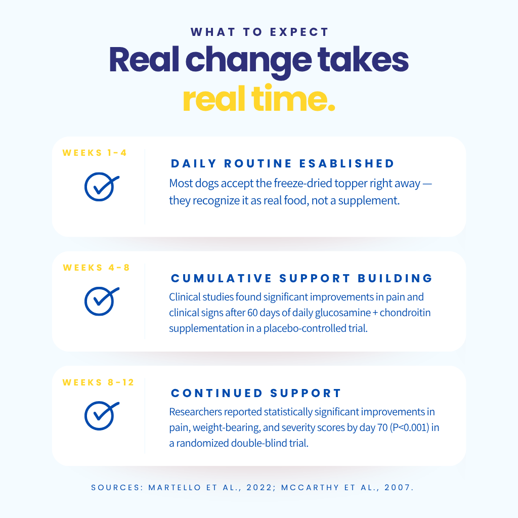 Infographic on real change taking real time with dog supplement information.