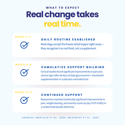 Infographic on real change taking real time with dog supplement information.