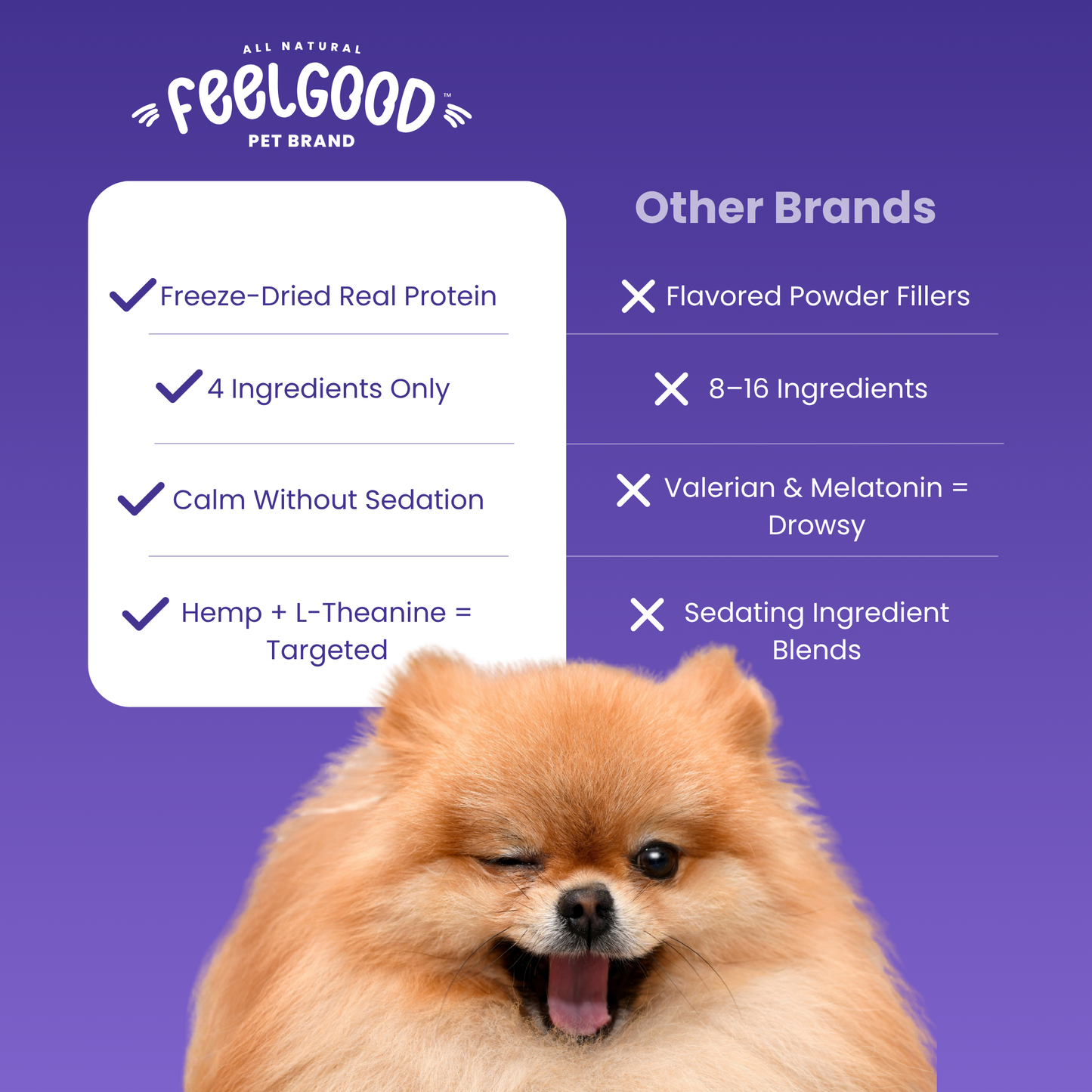 Dog with 'FeelGood Pet Brand' text and comparison of other brands on a purple background