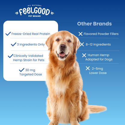 Dog sitting next to a comparison chart for 'FeelGood' pet brand products on a blue background.