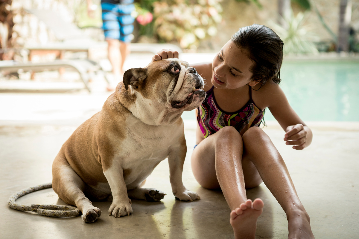 Child and bulldog by a poolside