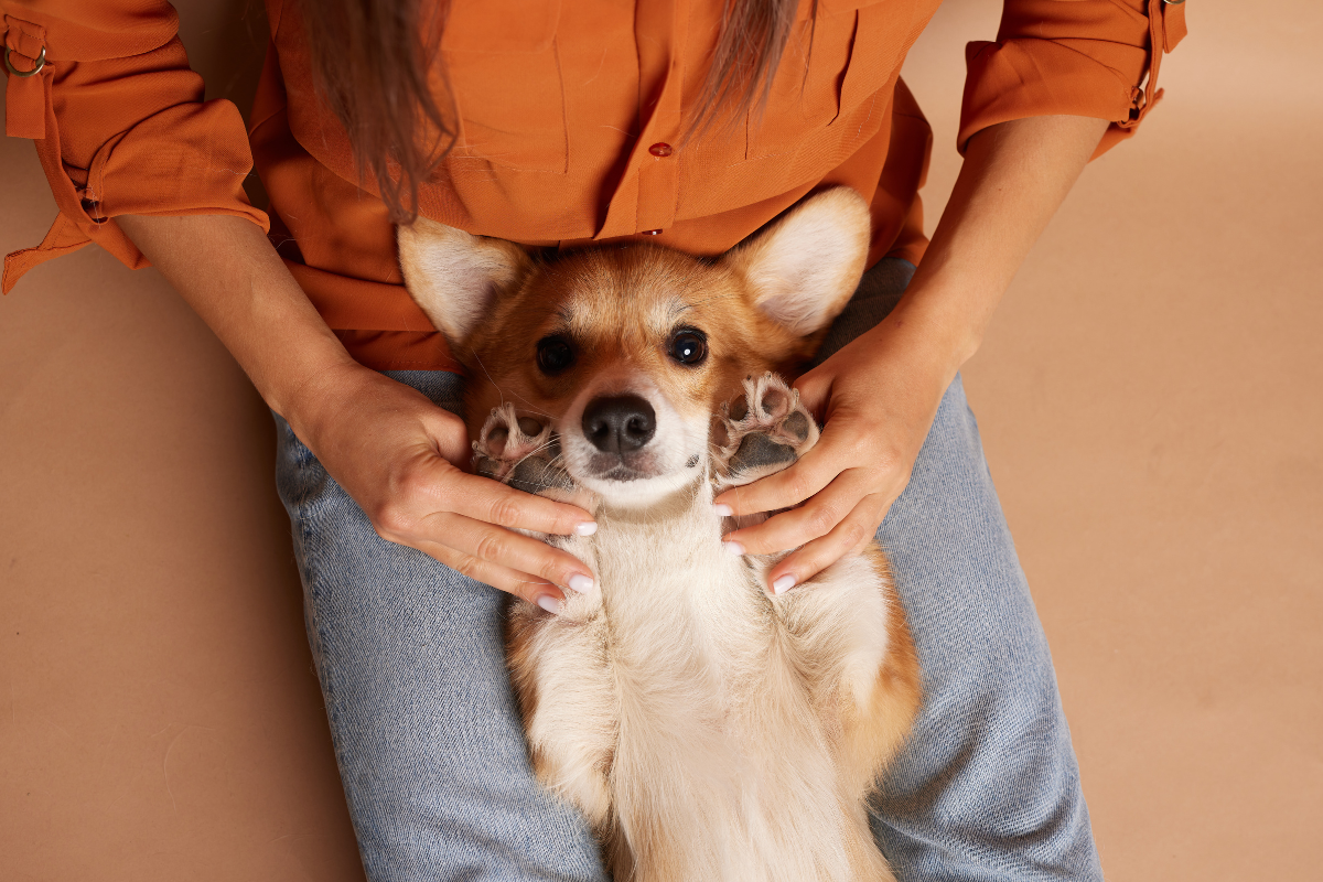 files/Feel_Good_Photos_6.png