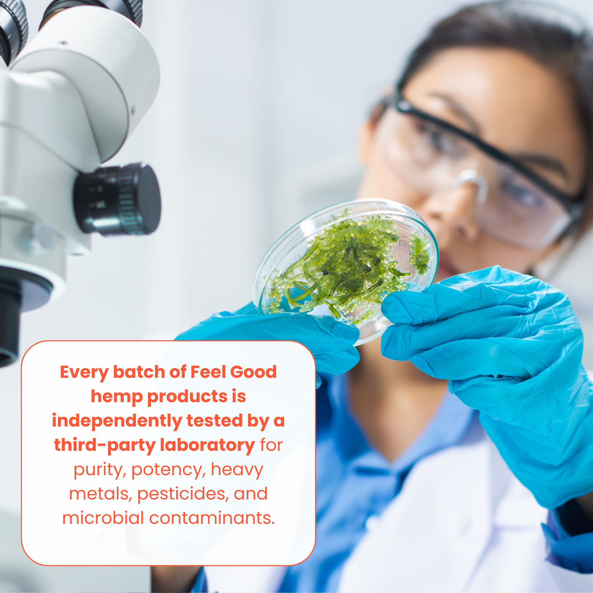 Person in a lab holding a petri dish with a sample, wearing gloves and safety glasses, with text about product testing.