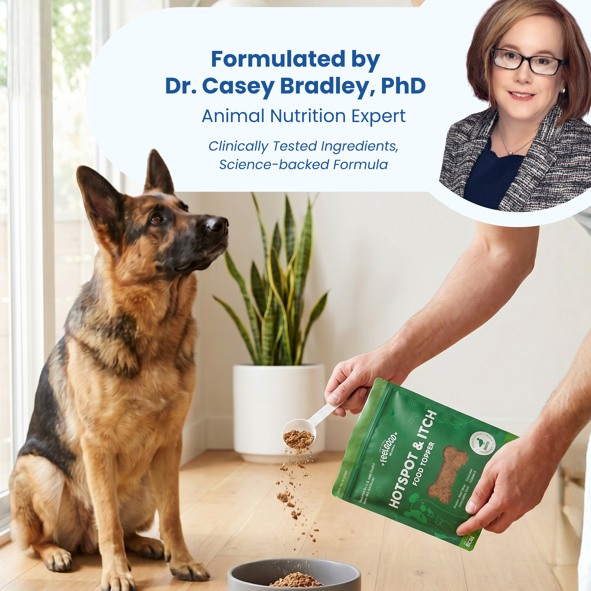 Person pouring dog food into a bowl with a dog sitting nearby, featuring Dr. Casey Bradley, PhD, on a white background.