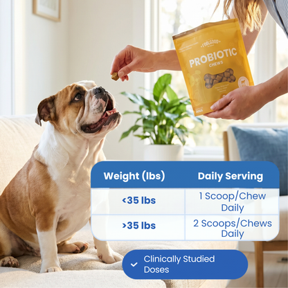 Person holding a package of probiotic chews for a dog, with a dog eagerly waiting to be fed. Overlay of Feel Good Pet dosing guide.