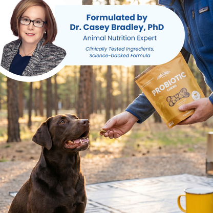 Person holding a bag of probiotic treats for a dog, with Dr. Casey Bradley's name displayed.