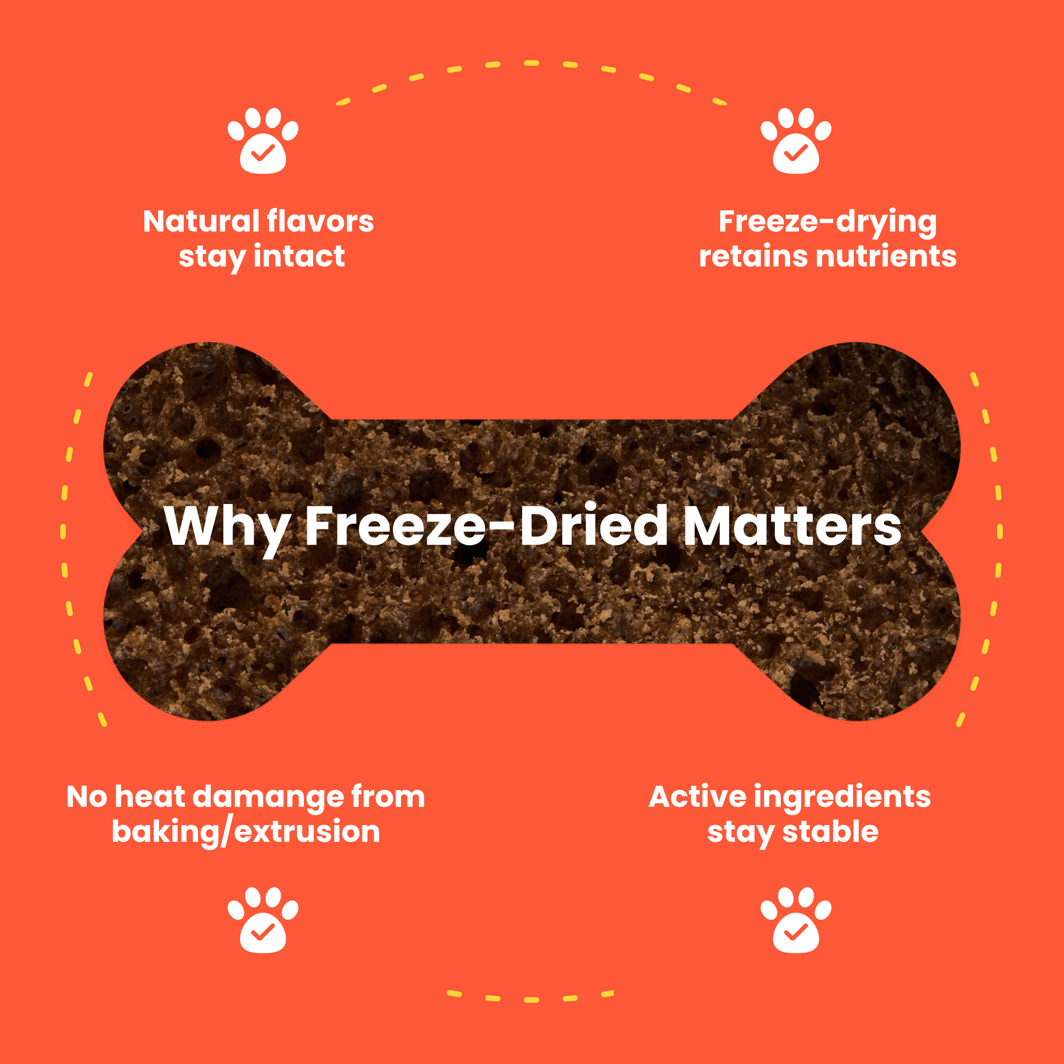 Why freeze-dried matters