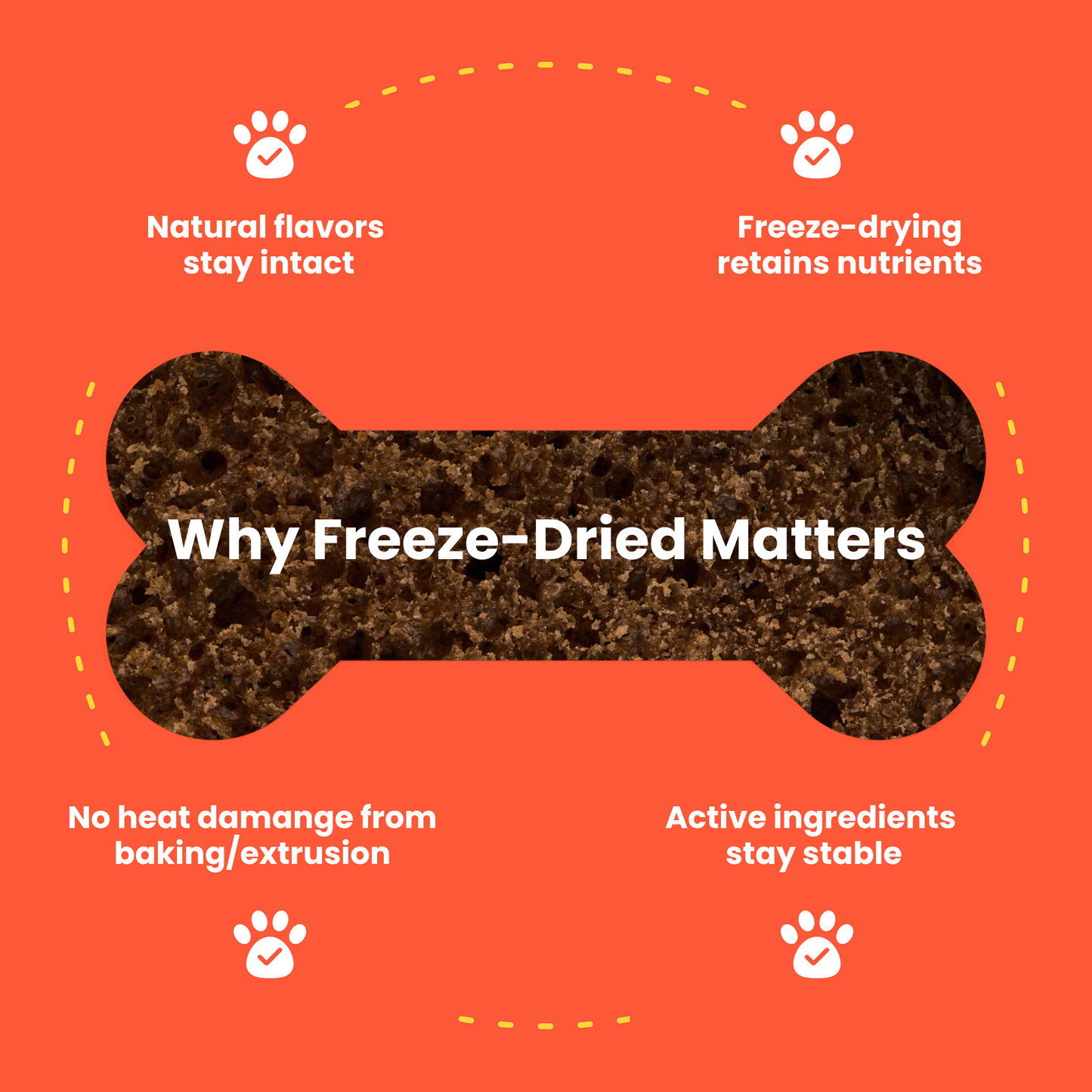 Why freeze-dried matters