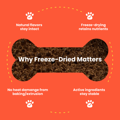 Why freeze-dried matters