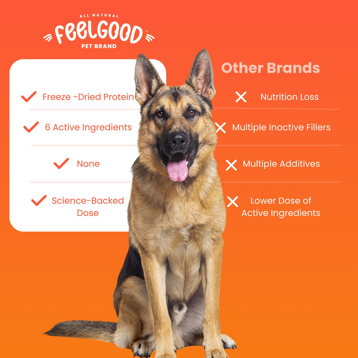 Dog sitting on an orange background with 'FeelGood Pet Brand' text and product features.
