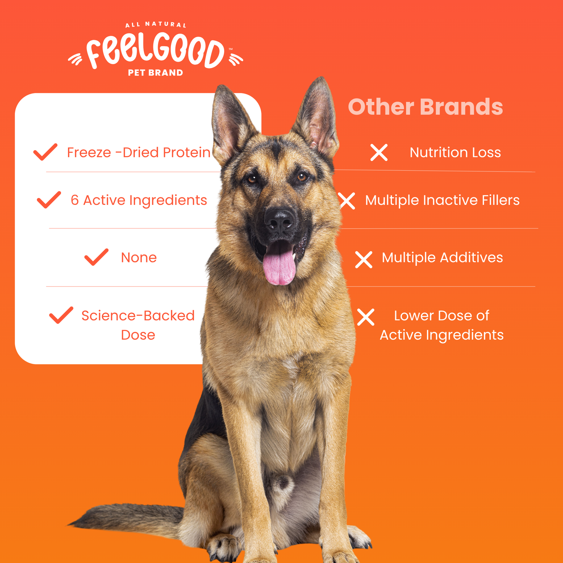 Dog sitting on an orange background with 'FeelGood Pet Brand' text and product features.