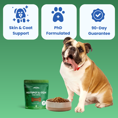Dog with food and product packaging on a green background with text about product features.