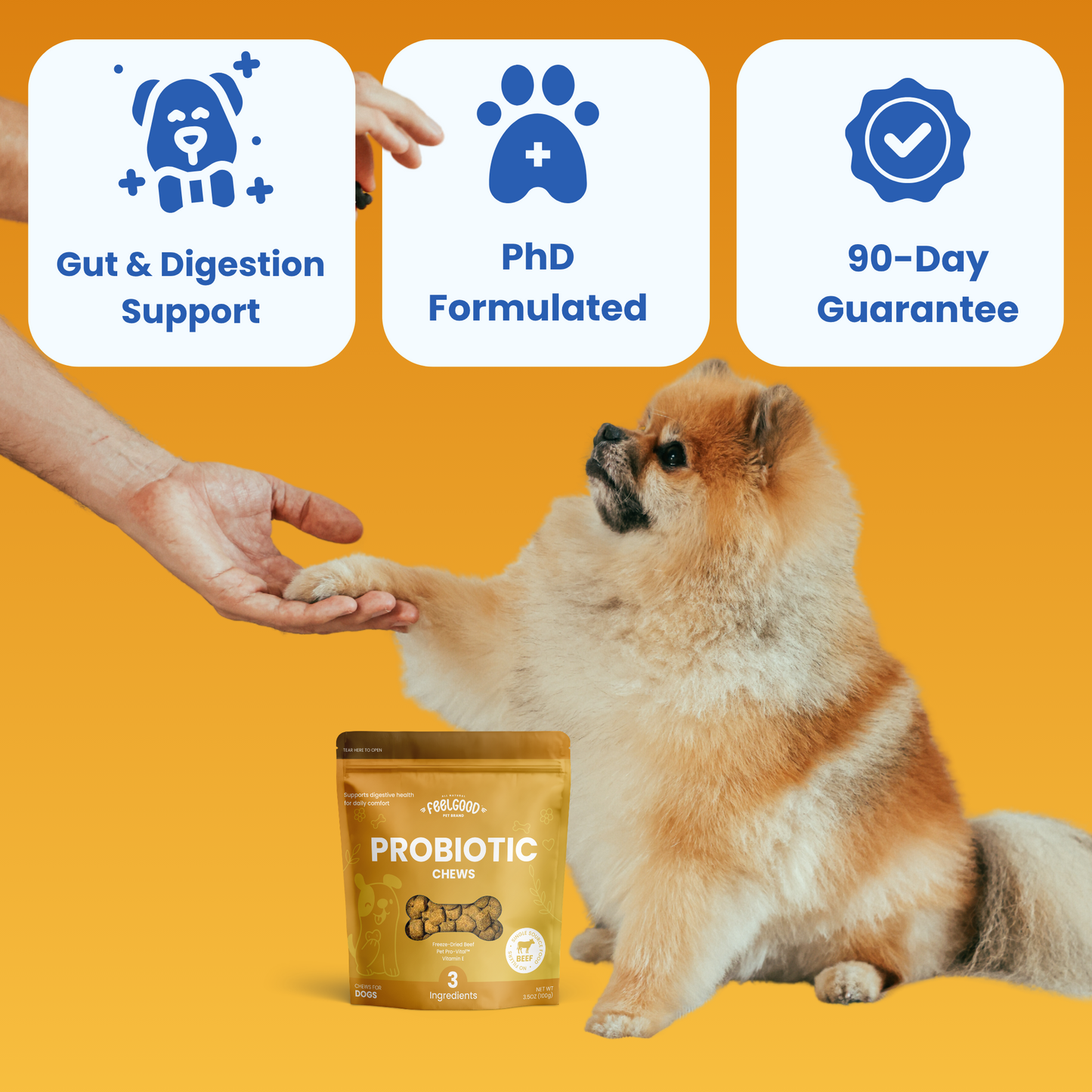 Dog receiving a treat from a hand with probiotic chews packaging, and icons for gut & digestion support, PhD formulation, and 90-day guarantee.