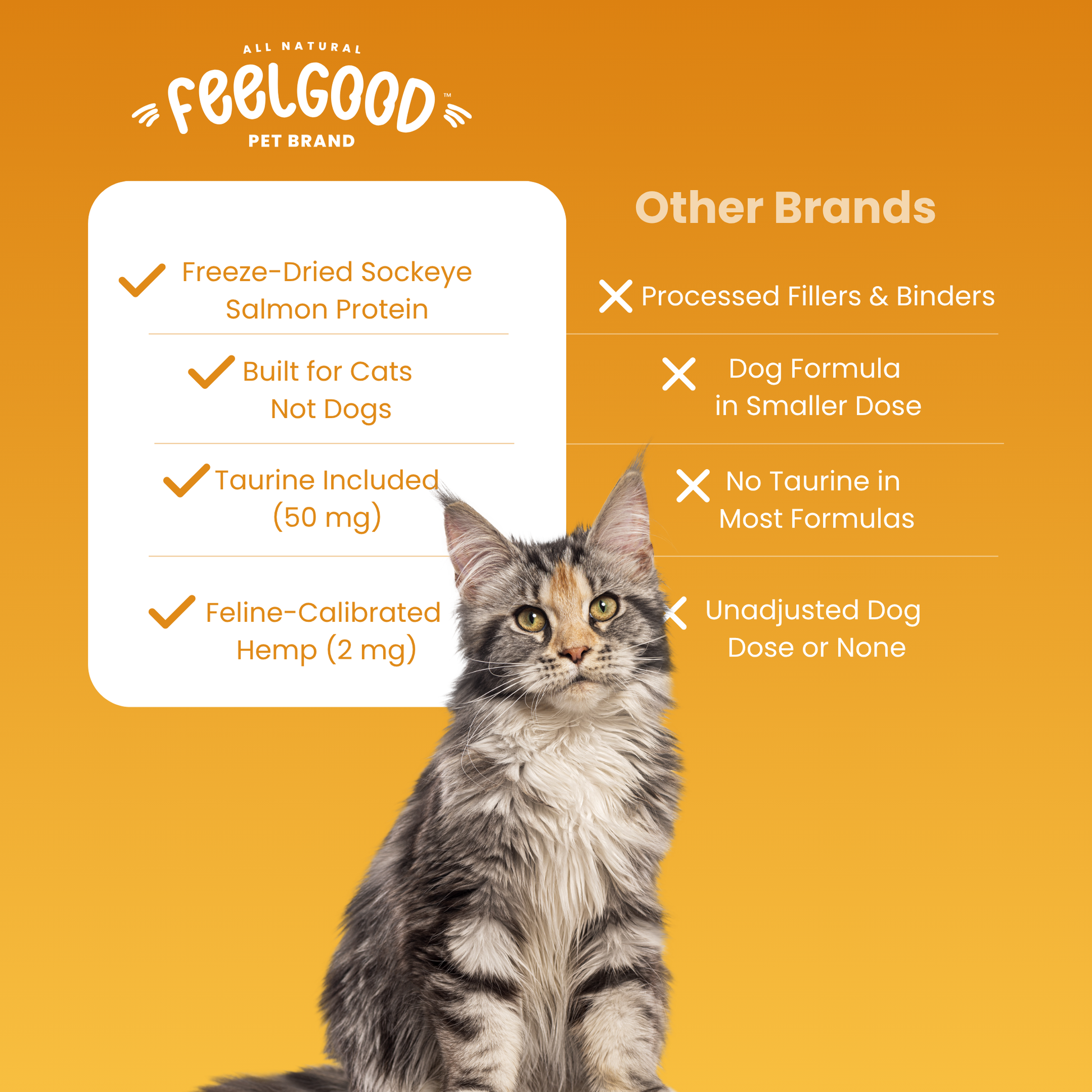 Cat sitting on an orange background with 'FeelGood Pet Brand' text and product features listed.