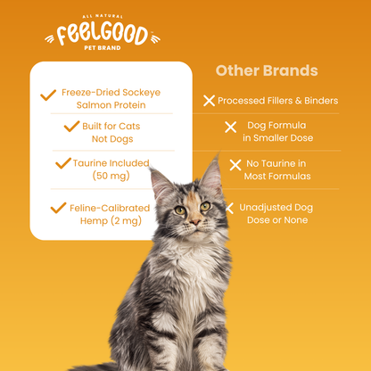 Cat sitting on an orange background with 'FeelGood Pet Brand' text and product features listed.