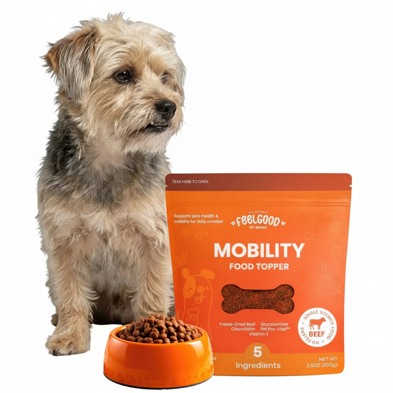 Dog standing next to a package of FeelGood Mobility Food Topper with a bowl of food in front.