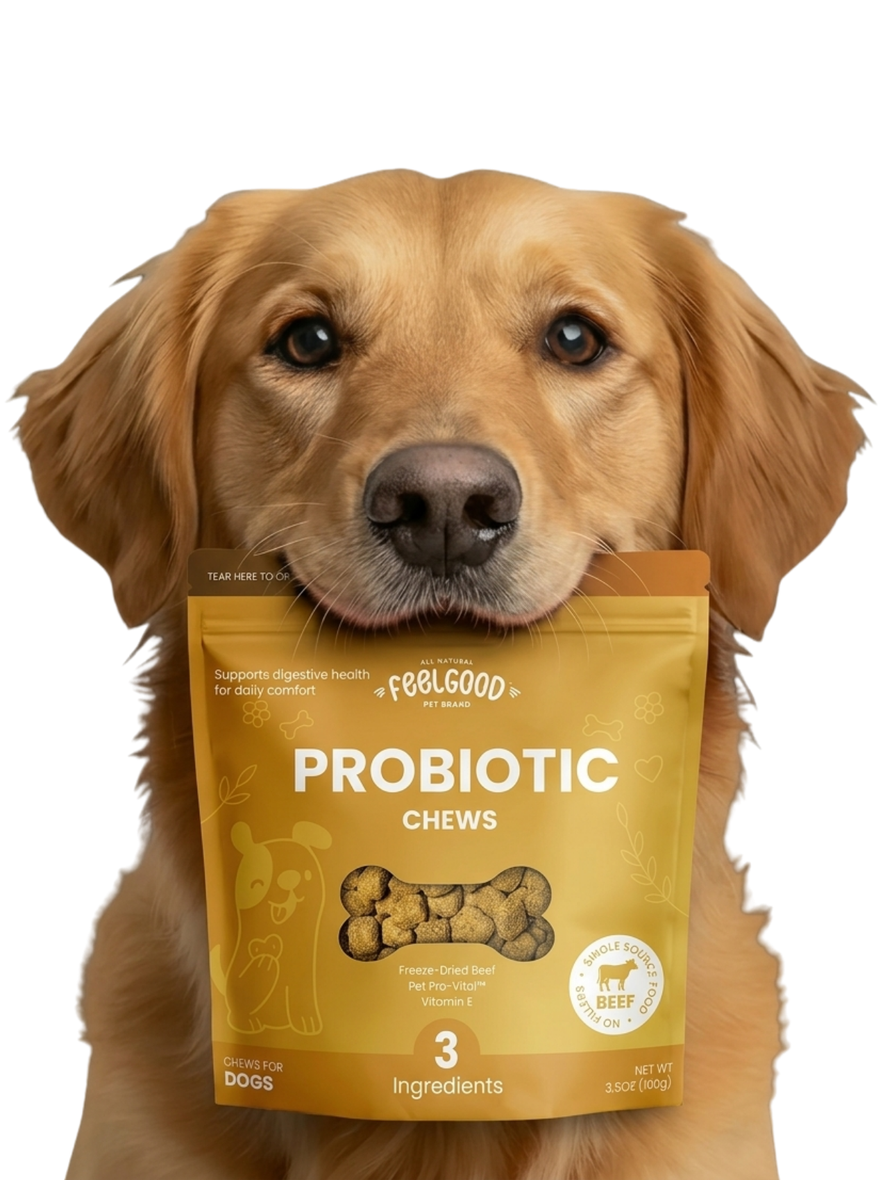 Dog holding a package of FeelGood Probiotic Chews in its mouth on a white background